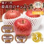 りんご サンふじ 約3kg
