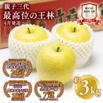 りんご 王林 約3kg