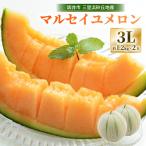 マルセイユメロン 2玉