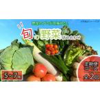 定期便 年2回 新鮮 旬の野菜セット 5から7品目
