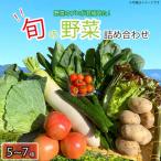新鮮 旬の野菜セット 5から7品目 野菜詰合せ