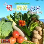 野菜 5~7品目 米 5kg