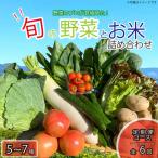 定期便 年6回 野菜 5~7品目 米 5kg