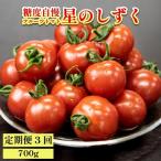 定期便 3回 フルーツトマト 700g