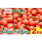 ふるさと納税 トマト 定期便 3回 ミニトマト アイコ 約4kg トマト とまと トマト とまと 徳島県阿波市