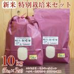 米 特別栽培米 食べ比べ セット 10kg