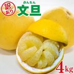 訳あり 文旦 柑橘 ブンタン 4kg