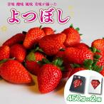 果物 フルーツ いちご よつぼし 大粒 2箱
