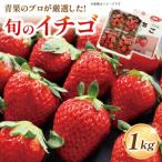 いちご 紅ほっぺ ゆめのか さがほのか 恋みのり 1kg