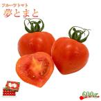 フルーツ トマト ルネッサンス 糖度8以上 600g