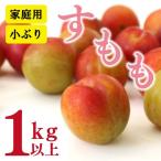訳あり フルーツ すもも 桃 モモ 1kg