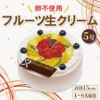 日時指定可 フルーツ生チョコケーキ 5号