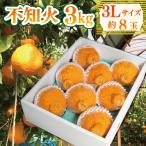 果物 しらぬい 3kg
