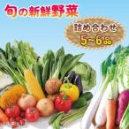 季節の野菜 詰合せセット 5~6品目 野菜