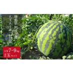 スイカ 甘泉 2玉