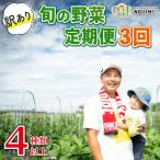 定期便 3回 訳あり 野菜 4~6種 詰合せ セット
