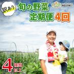 定期便 4回 訳あり 野菜 4~6種 詰合せ セット
