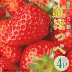いちご 紅ほっぺ 約270g×4パック