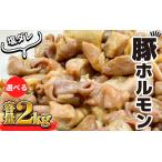 豚肉 やみつきホルモン 塩ダレ 2kg