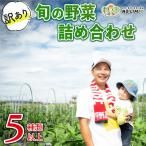 訳あり 野菜 5種以上 詰合せ
