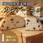 カンパーニュ パン 1ホール 果物入