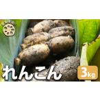 fu.... налог [ сельское хозяйство дом прямая поставка!] renkon 3kg l лотос лотос корень прямая поставка от производителя хруст .. овощи ... корнеплоды еда Hiroshima префектура бамбук . город *2024 год 8 месяц сверху.. Hiroshima префектура бамбук . город 