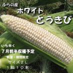 とうもろこし ホワイトショコラ 白い 露地栽培