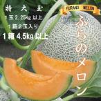 2027年発送 富良野メロン 赤肉 特大玉 2玉