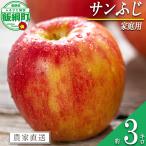 りんご サンふじ 3kg