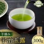 玉露 宇治玉露 手摘み