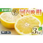 ふるさと納税 訳あり �