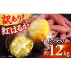 ふるさと納税 【先行予約】  訳あり 数量限定 紅はるか さつまいも 約12kg 1箱 さつまいも[AYAJ001] 熊本県合志市