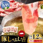 浅野農場厳選しゃぶしゃぶセット合計4.5kg
