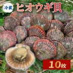 ヒオウギ貝10個入 加熱用