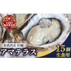 牡蠣 15個