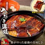 2448 鹿児島産うなぎ 合計900g