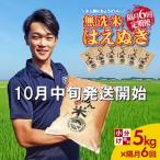 ふるさと納税 SM0024 10月中旬発送開始/【隔月6回定期便】無洗米はえぬき 5kg×6回(計30kg) 農家直送『いいあん米』AG 山形県酒田市