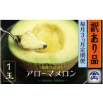 訳あり アローマメロン 1玉