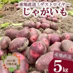 じゃがいも 5kg