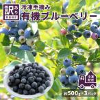 令和8年産〈冷凍〉手摘み有機ブルーベリー1.5kg 500g