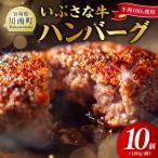 いぶさな牛ハンバーグ 10個