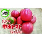 ふるさと納税 トマト 訳あり 野菜 中玉 (5cmm〜8cm) 約15個 もったいない野菜 数量限定 | SDGs フードロス 食品ロス 規格外 不揃い 家庭用 とま.. 福島県大玉村