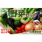 ふるさと納税  野菜セット 10種類前後【先行予約】 野菜 福島県大玉村