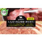 牛肉 肉の定期便