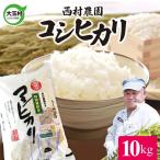 コシヒカリ 精米 令和8年産 10kg