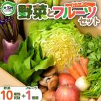 野菜セット フルーツ入り野菜10種類入り