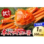 ふるさと納税 【大好評!カニ酢付き】訳あり!釜茹で!本ずわいがに姿 1匹(500g前後)< カニ かに 蟹 カニ 海鮮 ズワイガニ ズワイ 本ズワイ.. 京都府京丹後市