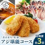 青のまち 松浦 アジ堪能コース定期便全3回