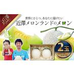 メロン 2玉入り