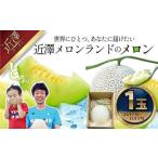 メロン 1玉入
